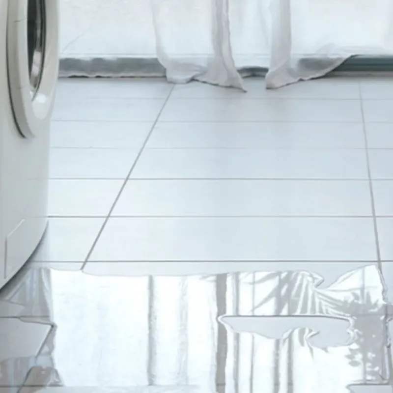 Appliance Leak Cleanup in Juno Beach, FL